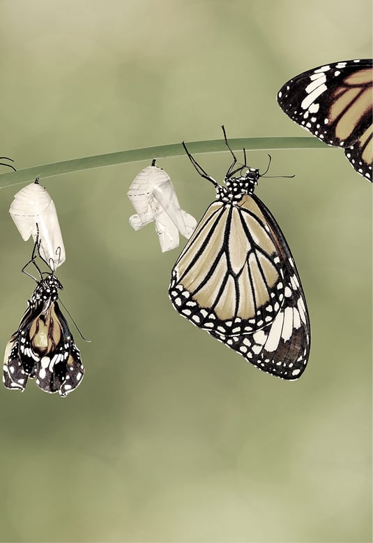 Change & Communication